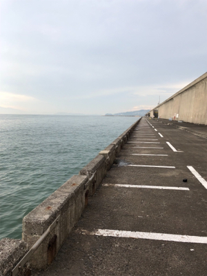 五目釣りしました