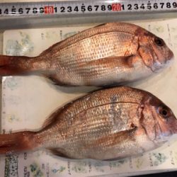 投げでマダイねらい