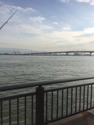 HEY!ツバスくん!