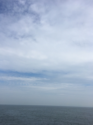 暑かった〜‼︎