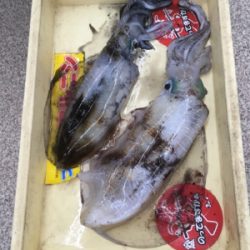 朝まづめリベンジ！