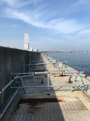 暑さに負けずに！