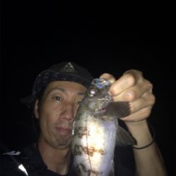 メバリングナイトゲーム☆GUNNING-STYLE