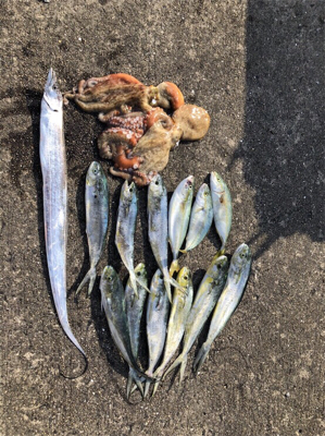 爆釣！爆釣！楽しい！楽しい！