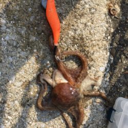 熱中症注意！！