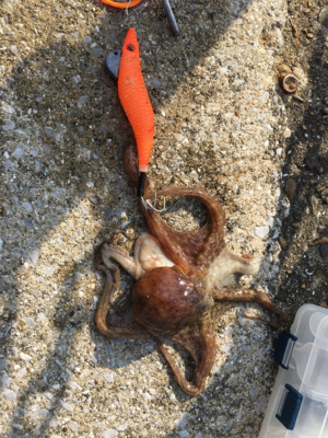 熱中症注意！！