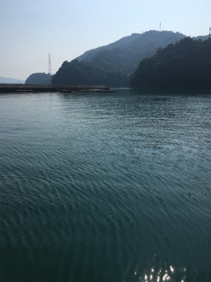 ジグでソウダガツオ！