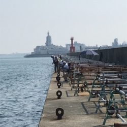 暑さに負けた！