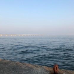 とりあえず青物釣れて良かった