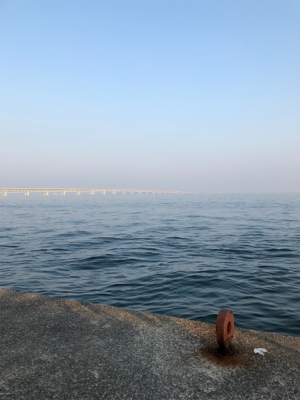 とりあえず青物釣れて良かった