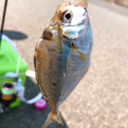 先日の大雨の影響がまだ…