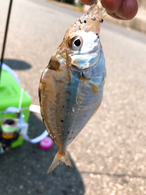 先日の大雨の影響がまだ…
