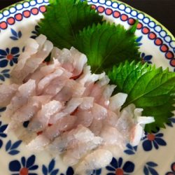 炎天下の下で鯛最高♪♪♪