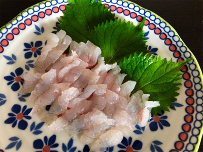 炎天下の下で鯛最高♪♪♪