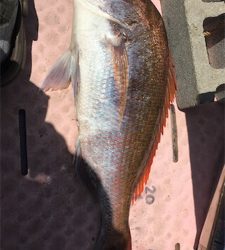 マイボートでタイラバ釣行