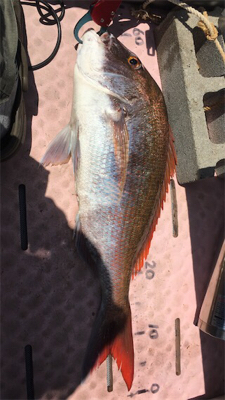 マイボートでタイラバ釣行