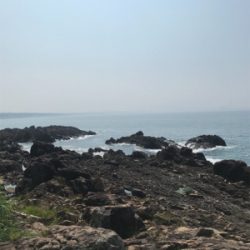 ガシラばっかり。