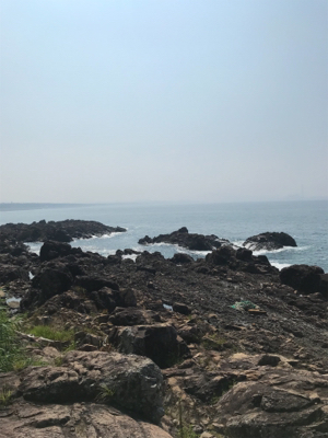 ガシラばっかり。