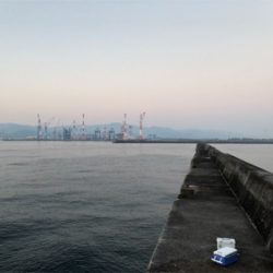 坂ノ市一文字で青物狙い