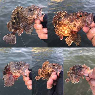 マルチゲーム（五目  笑）