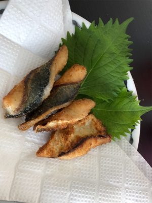 ツバス、惜しくも海へ帰る…