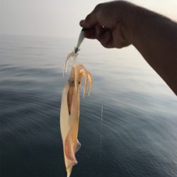 炎天下のマイボート 釣行