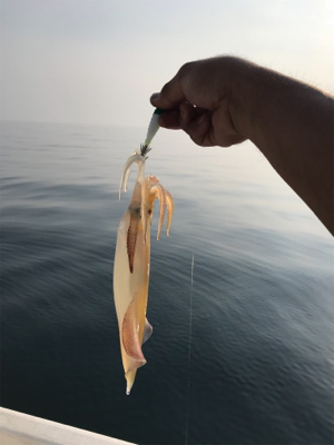 炎天下のマイボート 釣行