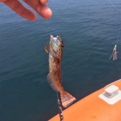 メーターオーバー！！