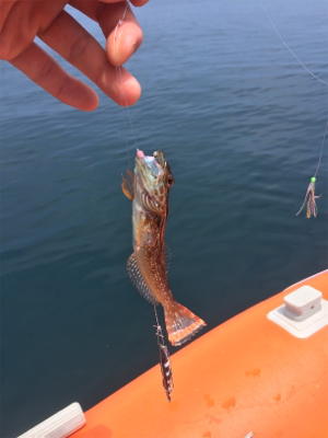 メーターオーバー！！