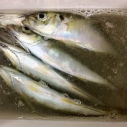 今晩は本気出す