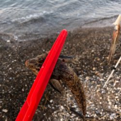 めげずに大キス狙い