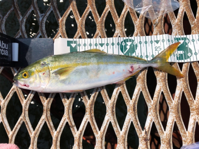 熱中症もなんのその…ショアジギング