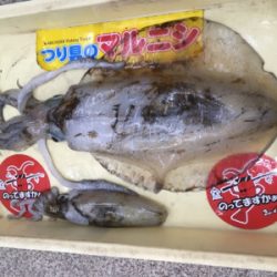 最近調子が良いです