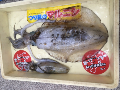 最近調子が良いです