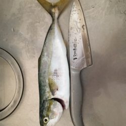 ツバス戻ってきてー