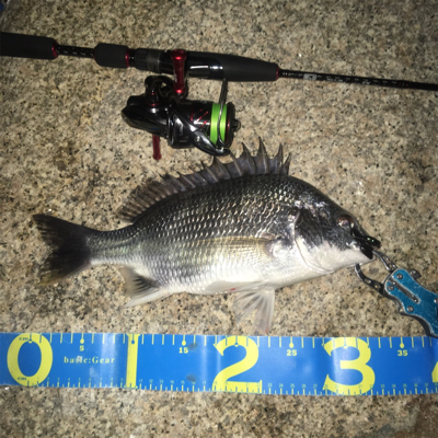 淀川ブリームゲーム マイクロジグヘッドでの…