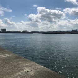 チヌさん留守かな？