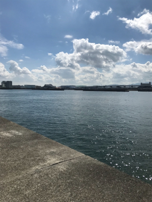 チヌさん留守かな？