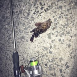 マルマル太った