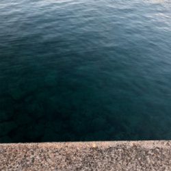 仕事終わりのアジング釣行