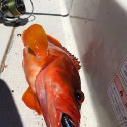 オフショアハードロックゲーム