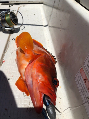 オフショアハードロックゲーム