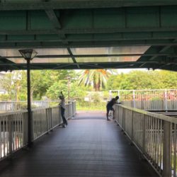 仙台堀川公園でハゼ釣り