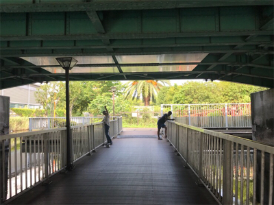仙台堀川公園でハゼ釣り