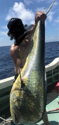 キハダ キャスティング ジギング