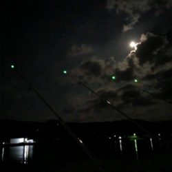 未だに大キス狙い