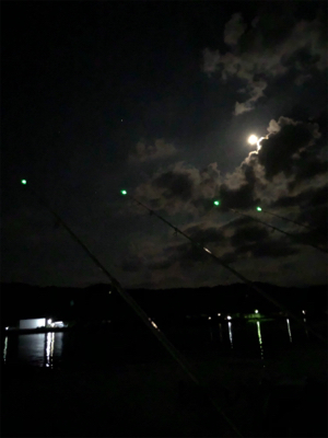 未だに大キス狙い