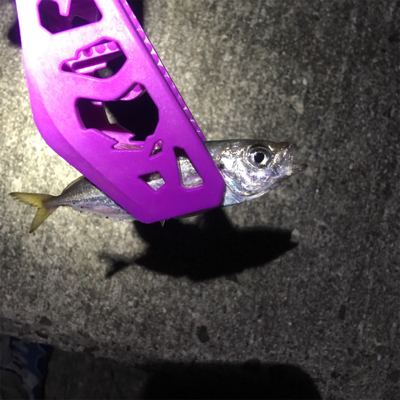 ジグサビキ&フロートアジング