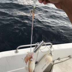 真夏のマイボート 釣行