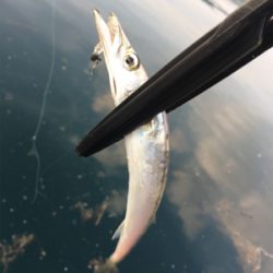 西日本豪雨災害後